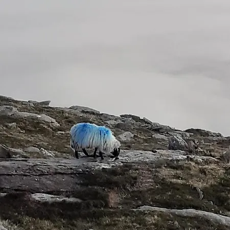 Gleann Loic Farmház