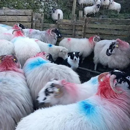 Farmház Gleann Loic Dingle