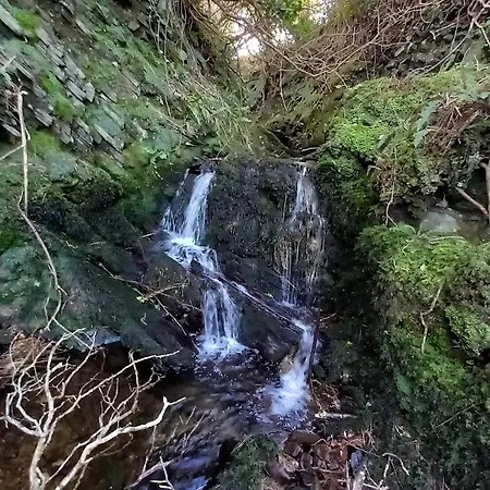 Gleann Loic * Dingle