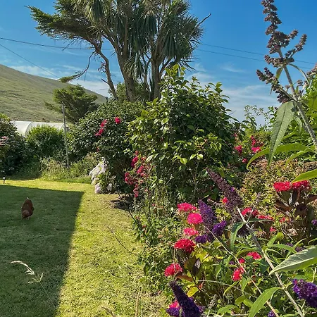 Gleann Loic * Dingle
