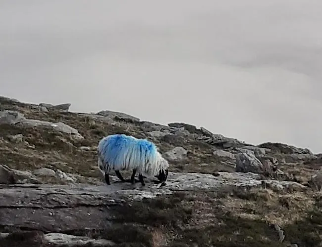 Gleann Loic Alloggio per agriturismo