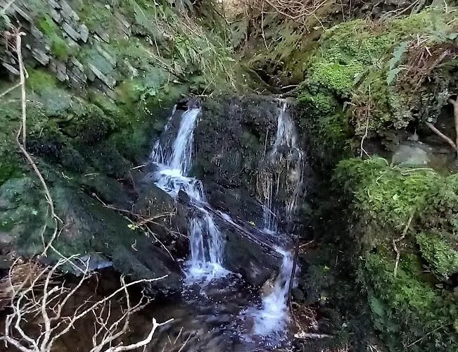 Gleann Loic * 딩글