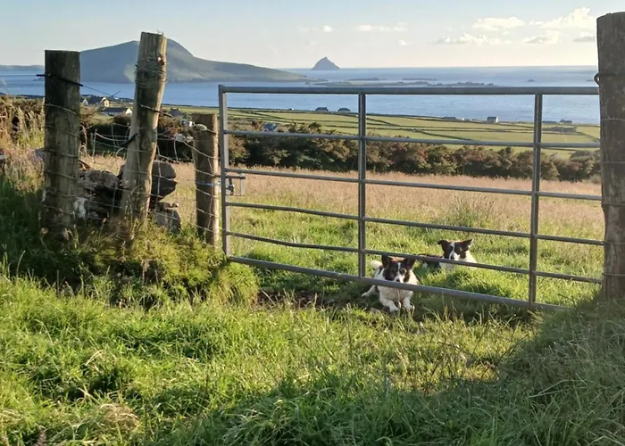 팜스테이 Gleann Loic